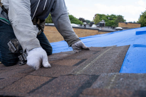 Best Rubber Roofing (EPDM, TPO)  in Lawrenceburg, TN